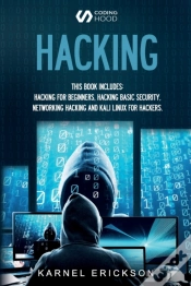 Capa do artigo Hacking
