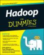 Hadoop For Dummies - Preview
