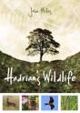 Hadrian'S Wildlife - Preview