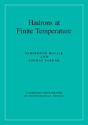Hadrons At Finite Temperature - Preview