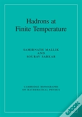 Hadrons At Finite Temperature