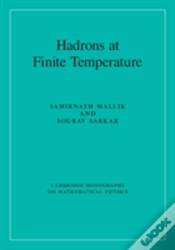 Capa do artigo Hadrons At Finite Temperature