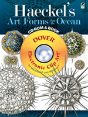 Haeckel'S Art Forms From The Ocean - Preview