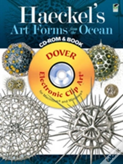 Capa do artigo Haeckel'S Art Forms From The Ocean