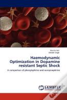 Haemodynamic Optimization In Dopamine Resistant Septic Shock