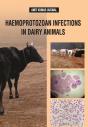 Haemoprotozoan Infections In Dairy Animals - Preview