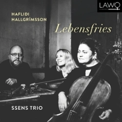 Capa do artigo Haflidi Hallgrimsson: Lebensfries - CD