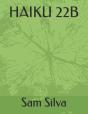 Haiku 22b - Preview