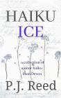 Haiku Ice - Preview