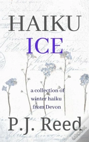 Capa do artigo Haiku Ice