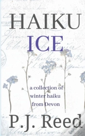 Capa do artigo Haiku Ice