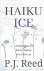 Haiku Ice - Preview