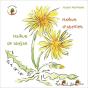 Haïkus D'Abeilles - Preview