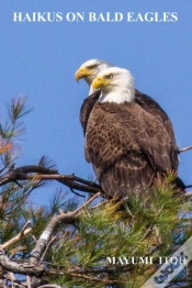 Capa do artigo Haikus   On   Bald Eagles