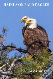 Haikus   On   Bald Eagles