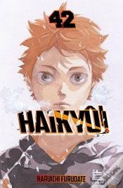 Capa do artigo Haikye 42