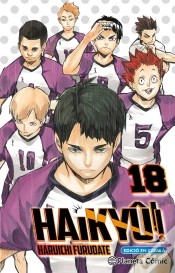 Capa do artigo Haikyu 18 (Cat)