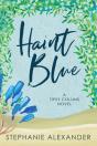 Haint Blue - Preview