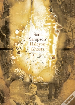 Capa do artigo Halcyon Ghosts