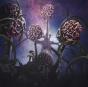 Hallucinogen - CD - Preview