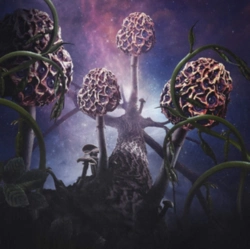 Capa do artigo Hallucinogen - CD