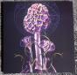 Hallucinogen - Vinil - Preview