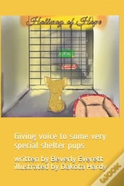 Capa do artigo Hallway Of Hope