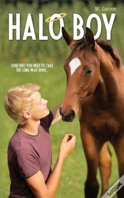 Capa do artigo Halo Boy