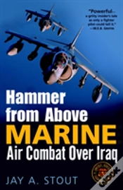Capa do artigo Hammer From Above