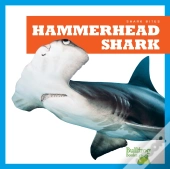 Hammerhead Shark