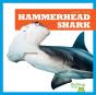 Hammerhead Shark - Preview