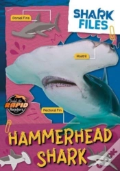Capa do artigo Hammerhead Shark
