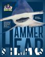 Hammerhead Sharks - Preview