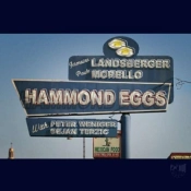 Capa do artigo Hammond Eggs - CD