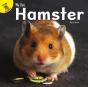 Hamster - Preview