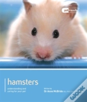 Capa do artigo Hamster - Pet Friendly