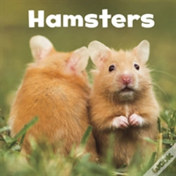 Capa do artigo Hamsters