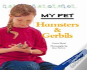 Hamsters And Gerbils