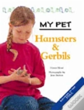 Capa do artigo Hamsters And Gerbils