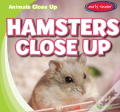 Capa do artigo Hamsters Close Up