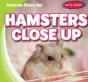 Hamsters Close Up - Preview