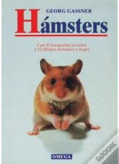 Capa do artigo Hamsters