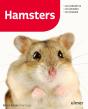 Hamsters - Preview