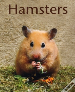 Capa do artigo Hamsters