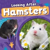 Capa do artigo Hamsters