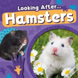 Capa do artigo Hamsters