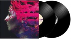 Capa do artigo Hand. Cannot. Erase - Vinil
