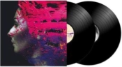 Capa do artigo Hand. Cannot. Erase - Vinil