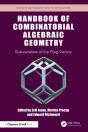 Handbook Of Combinatorial Algebraic Geometry - Preview