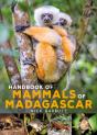 Handbook Of Mammals Of Madagascar - Preview